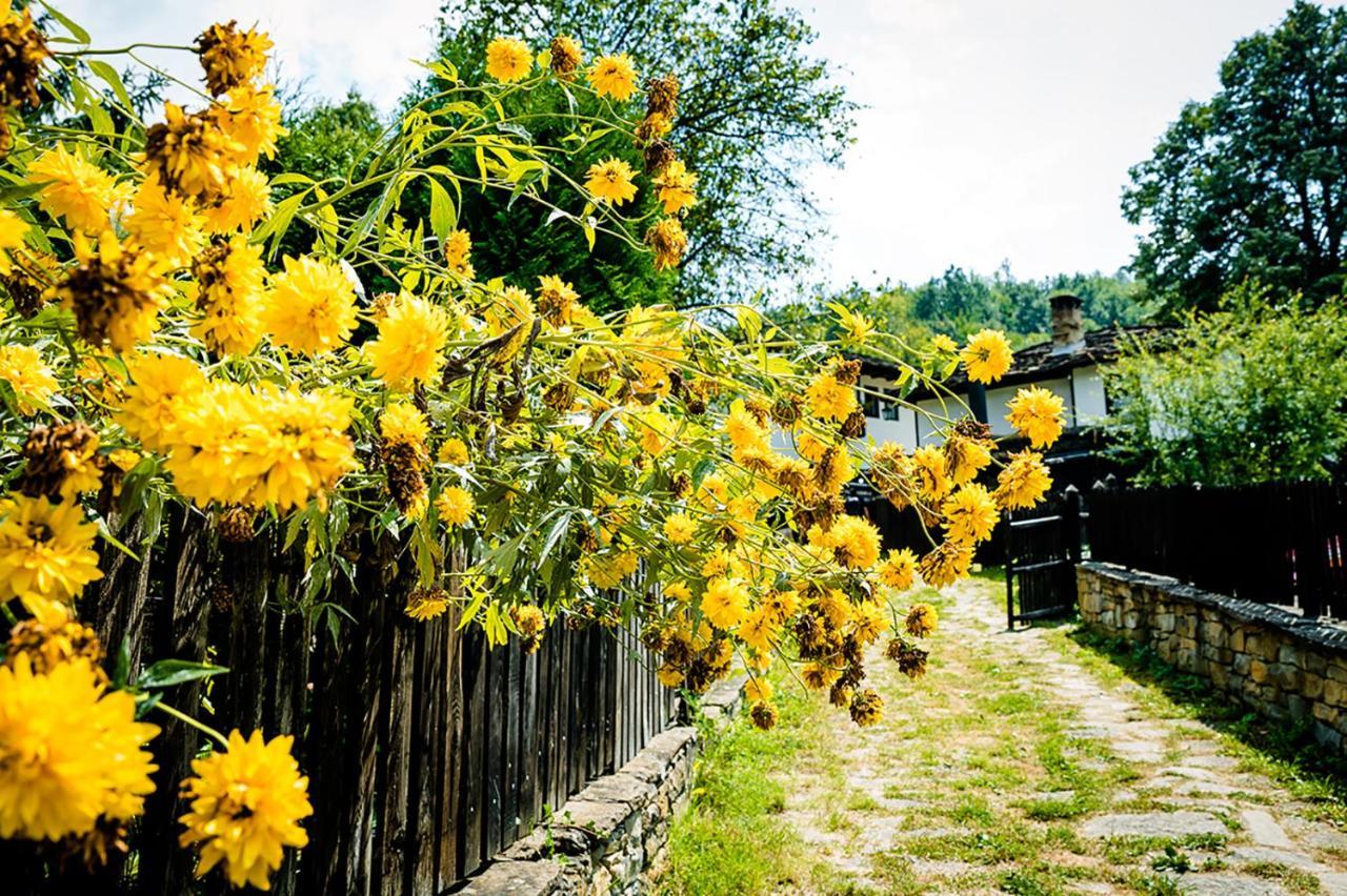 Strannopriemnitsa Guest House โบแจนซี ภายนอก รูปภาพ